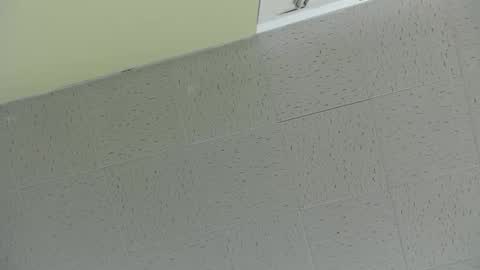 Snapshot of bennn54 chatting on 03-02-25, 07:45 Ben online show from 03-02-25, 07:45