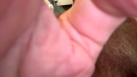 benz10001 online show from 12-06-24, 12:38