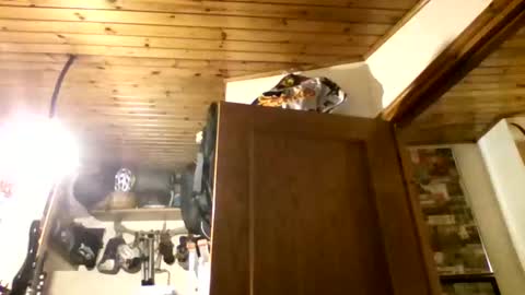 Snapshot of bernichaos77 chatting on 02-21-26, 02:34 bernichaos77 online show from 02-21-26, 02:34