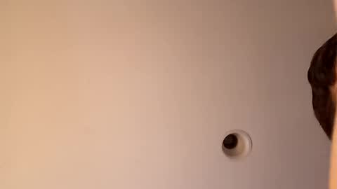 Snapshot of bgiamba21 chatting on 10-16-25, 03:40 bgiamba21 online show from 10-16-25, 03:40