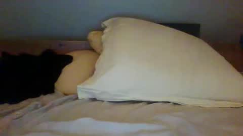 Snapshot of bibipheuck chatting on 11-13-25, 12:04 bibipheuck online show from 11-13-25, 12:04