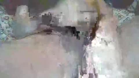 Snapshot of bigbr0wnc0ck69 chatting on 09-09-25, 04:50 bigbr0wnc0ck69 online show from 09-09-25, 04:50