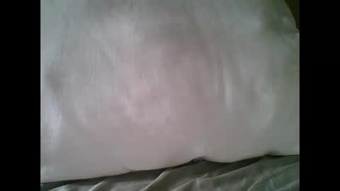 Snapshot of bigbravo337 chatting on 11-22-25, 02:27 bigbravo337 online show from 11-22-25, 02:27