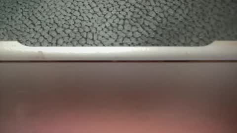 bigcocksuckingslut online show from 02-02-25, 05:26