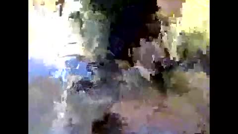 Snapshot of bigdaddydongarlets391292 chatting on 10-24-25, 09:17 bigdaddydongarlets391292 online show from 10-24-25, 09:17