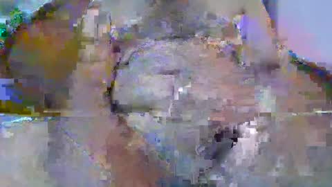 Snapshot of bigdaddysam95 chatting on 09-24-25, 06:00 bigdaddysam95 online show from 09-24-25, 06:00