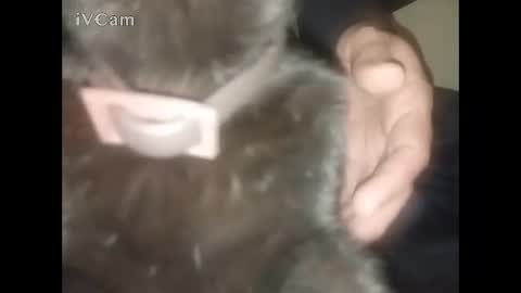 Snapshot of bigdick666cm chatting on 02-22-26, 02:34 Big online show from 02-22-26, 02:34