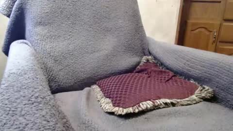 bigdickdaddy567130413 online show from 12-29-24, 02:42