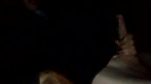 Snapshot of bigdickdangles472924 chatting on 07-25-26, 09:45 bigdickdangles472924 online show from 07-25-26, 09:45