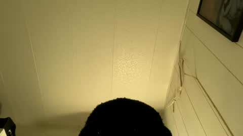 bigdickywn online show from 07-05-26, 04:30