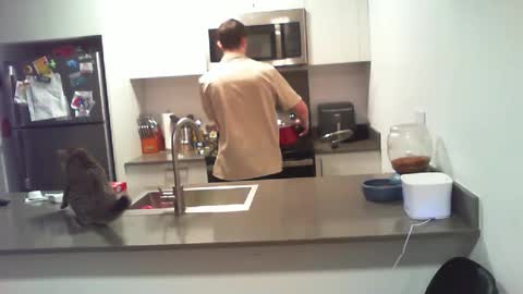 BigWilly online show from 10-01-25, 09:54