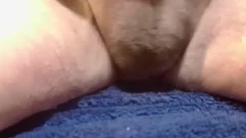 Snapshot of bigdoglog chatting on 02-10-25, 02:26 BigDog online show from 02-10-25, 02:26