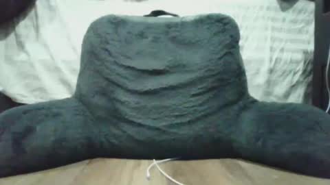 bigdyllpickle online show from 01-08-26, 02:47