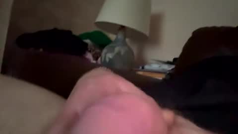 Snapshot of biggloves4bighands chatting on 12-21-25, 02:24 biggloves4bighands online show from 12-21-25, 02:24