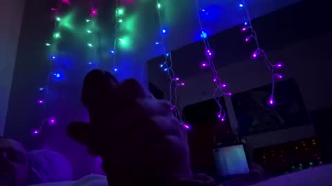 bigmerm333 online show from 07-13-26, 07:00
