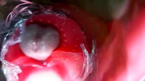 Snapshot of bigmoneycorey chatting on 03-12-26, 07:31 bigmoneycorey online show from 03-12-26, 07:31