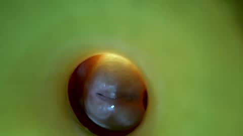 Snapshot of bigmoneycorey chatting on 03-16-26, 06:56 bigmoneycorey online show from 03-16-26, 06:56