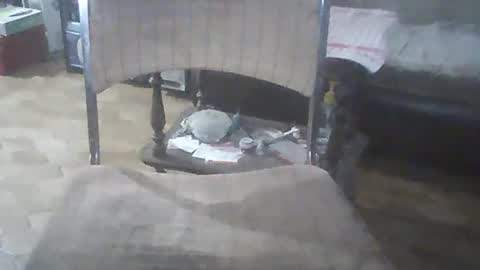 Snapshot of bigpenix chatting on 12-21-24, 03:25 bigpenix online show from 12-21-24, 03:25