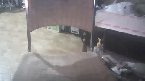 Snapshot of bigpenix chatting on 01-26-25, 03:48 bigpenix online show from 01-26-25, 03:48