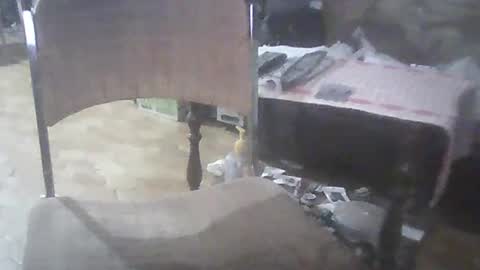 Snapshot of bigpenix chatting on 03-02-25, 03:56 bigpenix online show from 03-02-25, 03:56