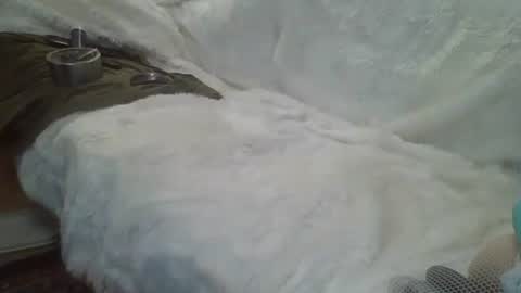 Snapshot of bigreallover chatting on 12-14-24, 05:29 ...... online show from 12-14-24, 05:29