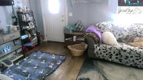 Snapshot of bigskittles4you chatting on 02-24-26, 05:22 Skittles online show from 02-24-26, 05:22