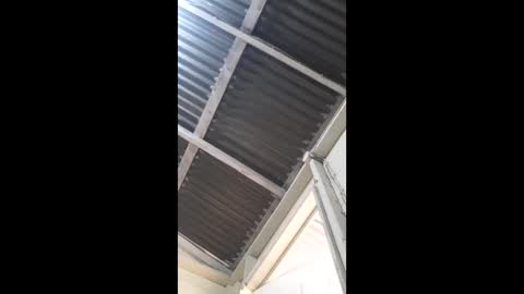 bigstiffcocky online show from 01-10-26, 09:30