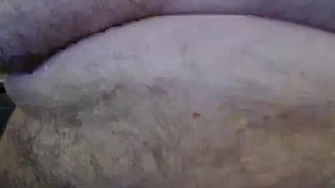 Snapshot of bigstudfred chatting on 03-08-26, 11:58 jason online show from 03-08-26, 11:58