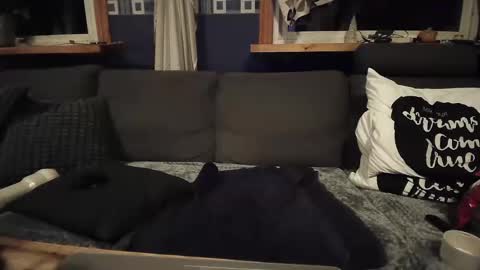 Snapshot of bigswe1 chatting on 12-16-24, 04:23 bigswe1 online show from 12-16-24, 04:23