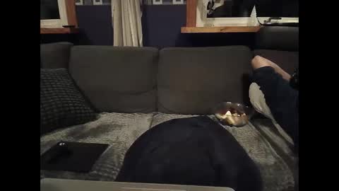 Snapshot of bigswe1 chatting on 03-05-25, 01:52 bigswe1 online show from 03-05-25, 01:52