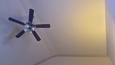 bigswoletroll online show from 03-12-26, 07:31