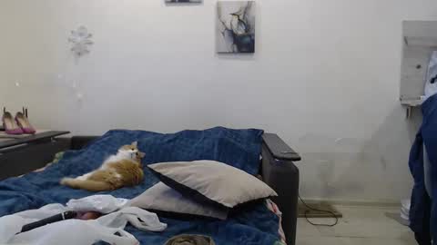 BigTwinsOmg online show from 11-18-25, 06:40