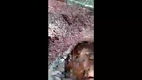 Snapshot of bigwalkdog420 chatting on 12-25-24, 02:56 bigwalkdog420 online show from 12-25-24, 02:56