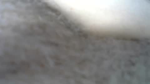 billpark20 online show from 05-22-26, 02:30