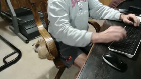 Snapshot of billy471 chatting on 01-05-25, 09:14 billy471 online show from 01-05-25, 09:14