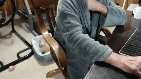 Snapshot of billy471 chatting on 12-03-25, 11:52 billy471 online show from 12-03-25, 11:52