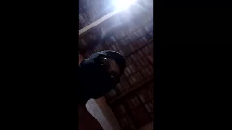 bittencourtgabriel online show from 04-22-26, 03:09