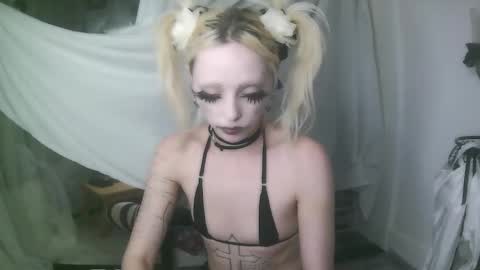 Snapshot of bl0odsyring3 chatting on 01-07-26, 12:35 vampire fang online show from 01-07-26, 12:35