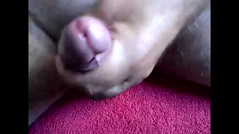 Snapshot of blabla78000 chatting on 09-15-25, 06:46 blabla78000 online show from 09-15-25, 06:46