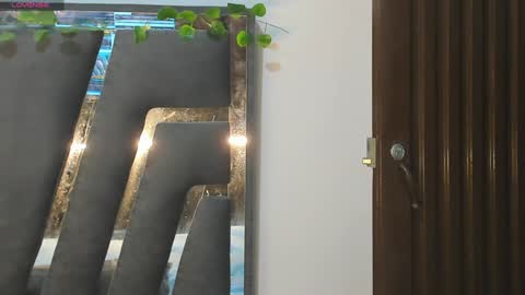 B L A C K  R O S E  online show from 01-30-25, 11:33