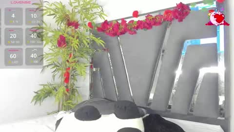 B L A C K  R O S E  online show from 03-06-25, 11:47