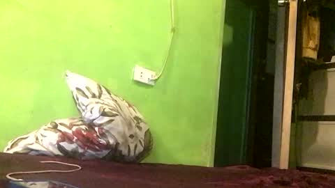 Crystal online show from 04-18-26, 07:58