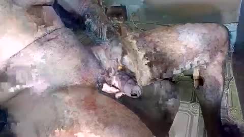 Snapshot of blackedbigdick chatting on 10-18-25, 07:03 blackedbigdick online show from 10-18-25, 07:03