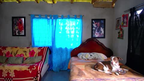 Black Panther online show from 12-18-25, 01:39