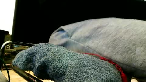 Snapshot of blackriches96 chatting on 02-21-25, 03:21 blackriches96 online show from 02-21-25, 03:21