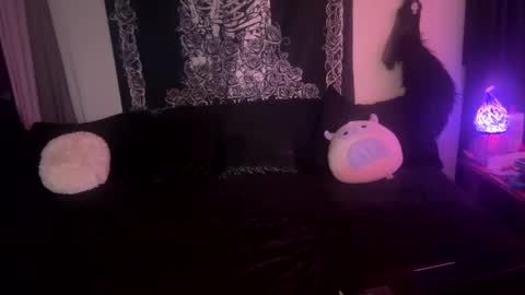 Snapshot of blackstarzara chatting on 01-10-25, 04:22 blackstarzara online show from 01-10-25, 04:22