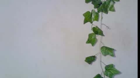 nikky00 online show from 03-08-26, 06:50