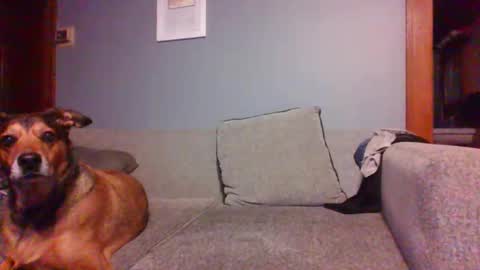 blaw_1321 online show from 10-16-25, 07:20