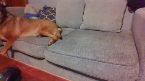 blaw_1321 online show from 11-23-25, 09:47