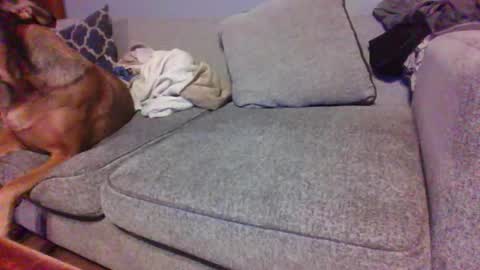 blaw_1321 online show from 01-10-26, 07:04